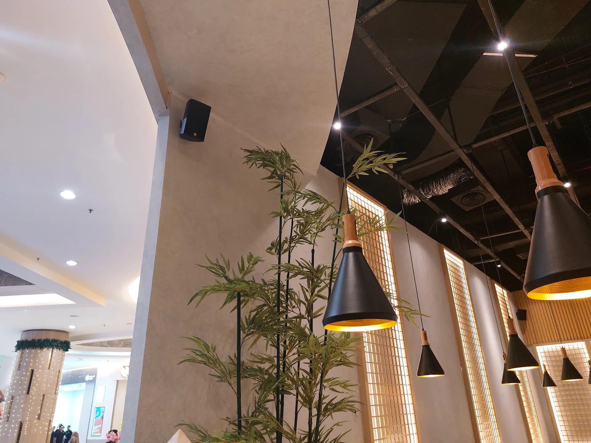 Commercial-Grade Wall Audio Integration